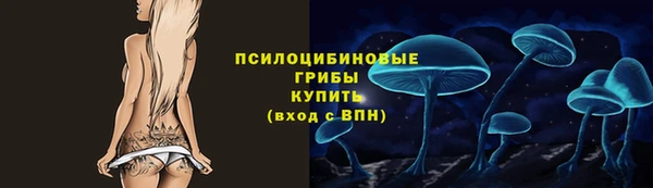 стаф Абаза