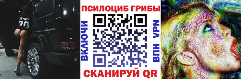 наркошоп  Бугуруслан  Псилоцибиновые грибы Psilocybe 